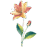 flores a domicilio